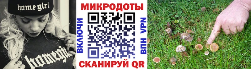 что такое   Оса  Галлюциногенные грибы Cubensis 